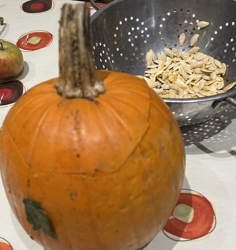 small pumpkin with a metal collander with a lot of pumpkin seeds in it. You can just see an apple in the top left corner.